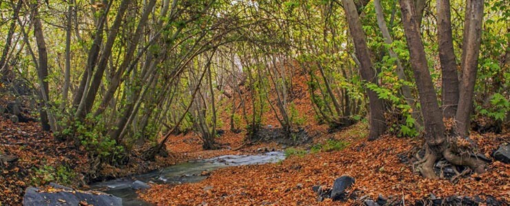 تصویر جاهای دیدنی مشهد در پاییز