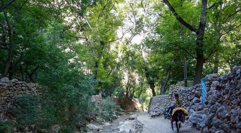 تصویر زیبای روستای زشک