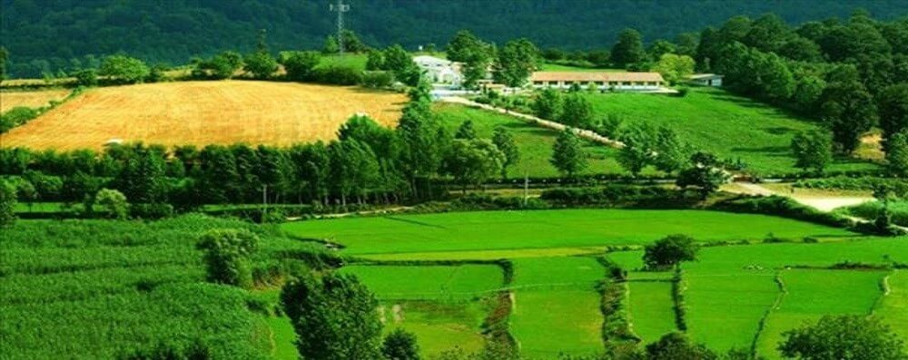 تصویر چناران