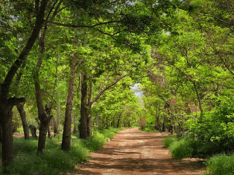 تصویر باغ جنت شیراز