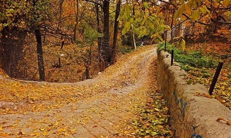 تصویر روستای افجه در پاییز 