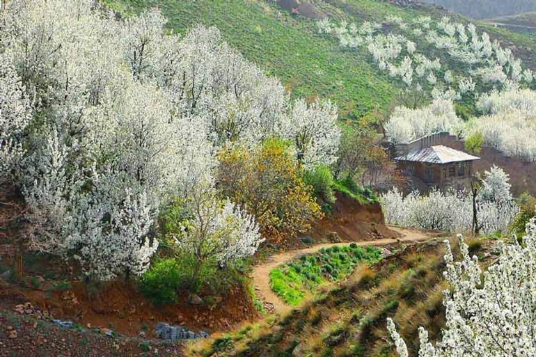  تصویر روستای سنگان یکی از جاهای دیدنی غرب تهران