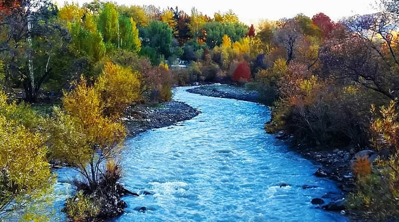 تصویر کردان