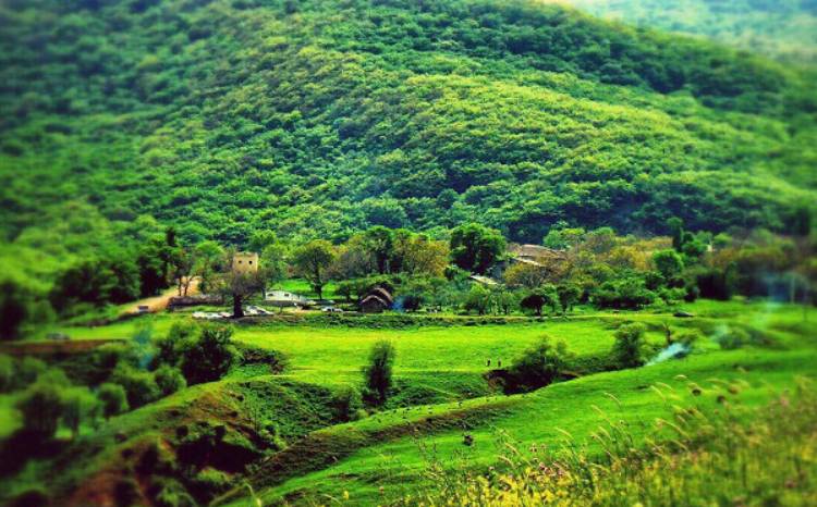 تصویر روستای افجه در بهار 