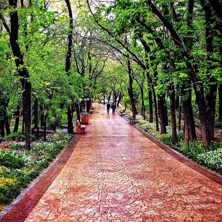 تصویر پارک فیطریه تهران
