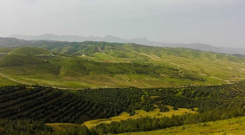 تصویر پارک جنگلی لواسانات