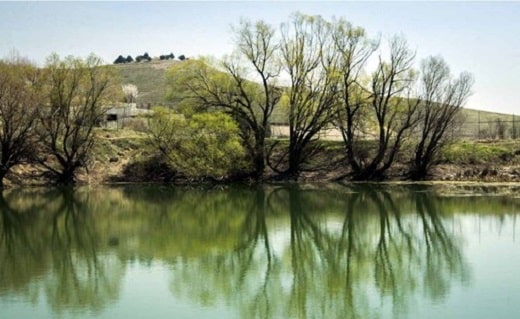 تصویر پارک جنگلی یاس اتوبان بابایی