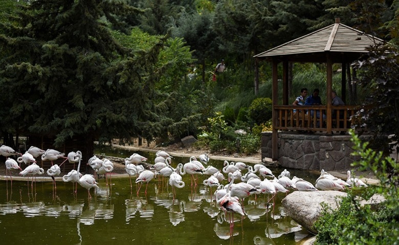 پارک ساعی تهران