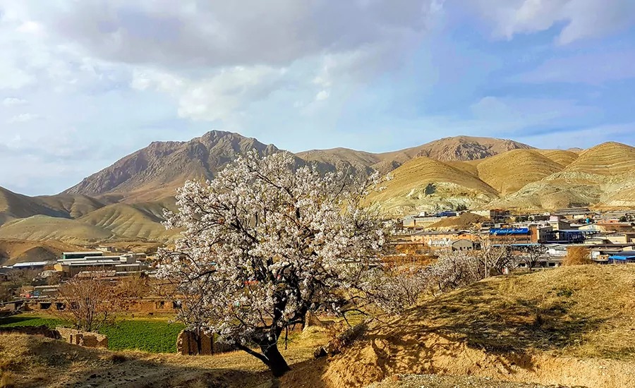 پارک ملی خجیر