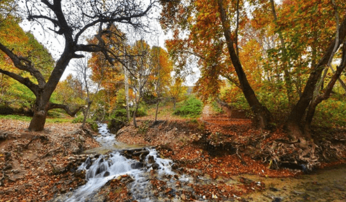 تصویری از روستاهای اطراف مشهد در پاییز